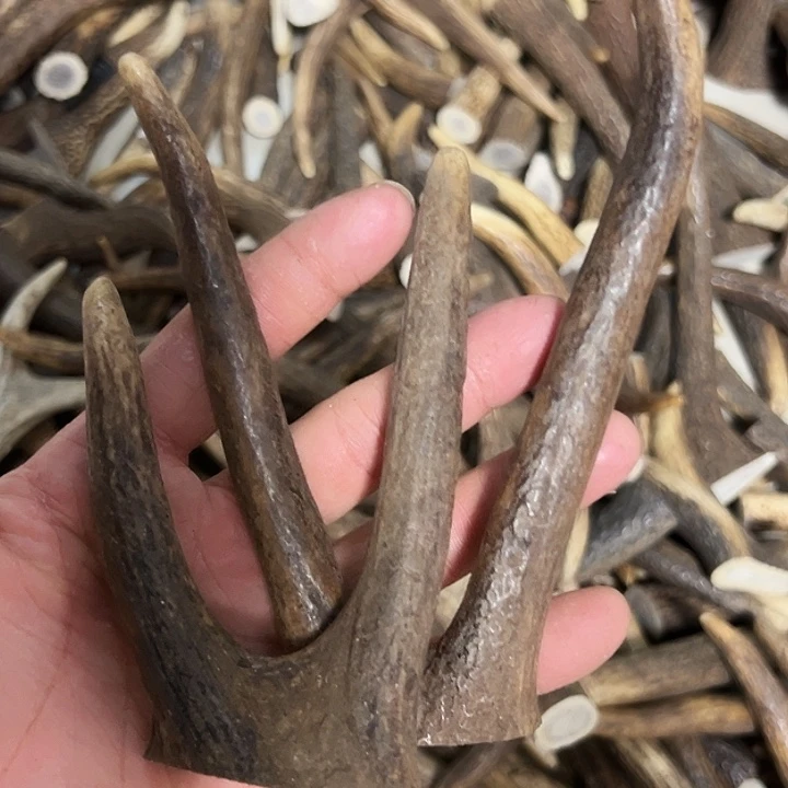 香榧木木雕款鹿角叉