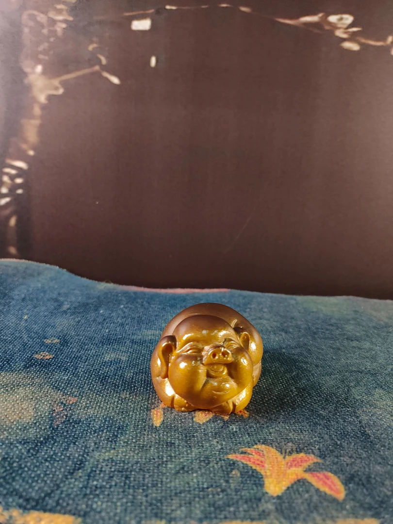 X697-金色小猪茶宠SPTC