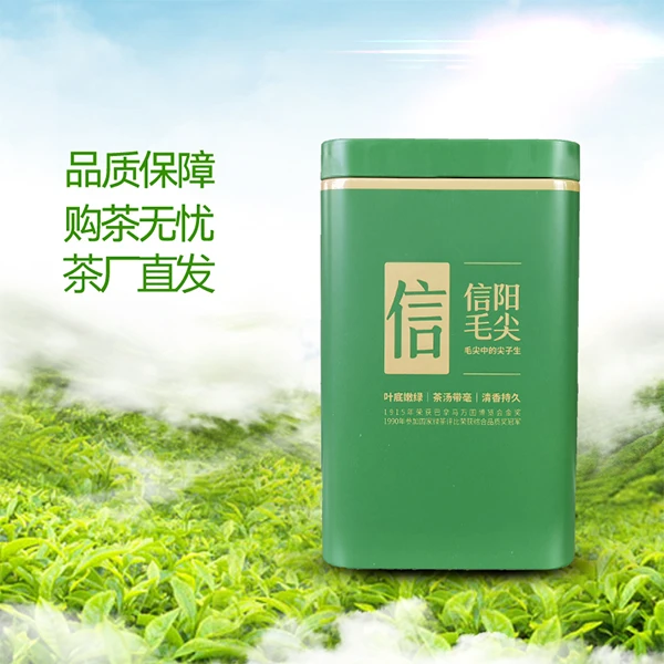 【女王寨高山雨前芽头】正宗信阳毛尖核心区高山春茶