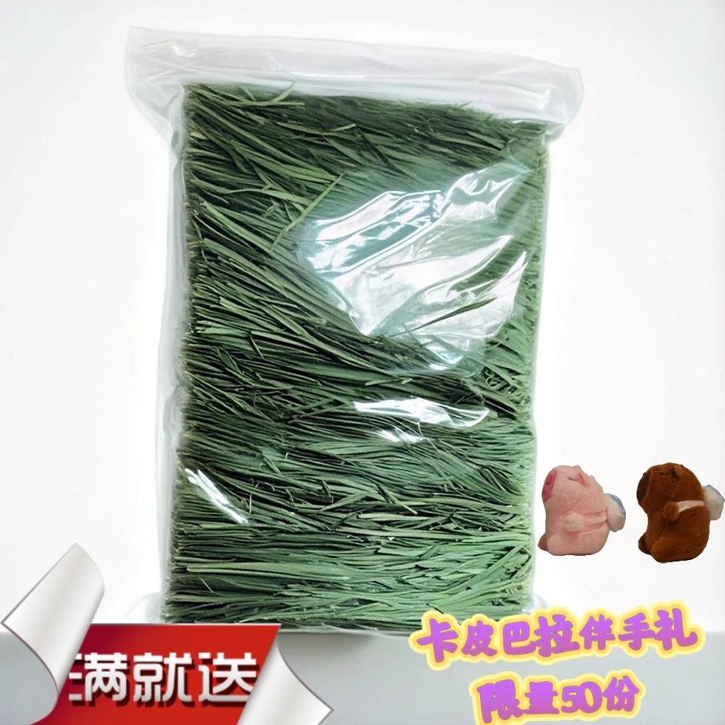 2025烘干微穗提摩西草北提兔子龙猫猪优质宠物主粮牧草