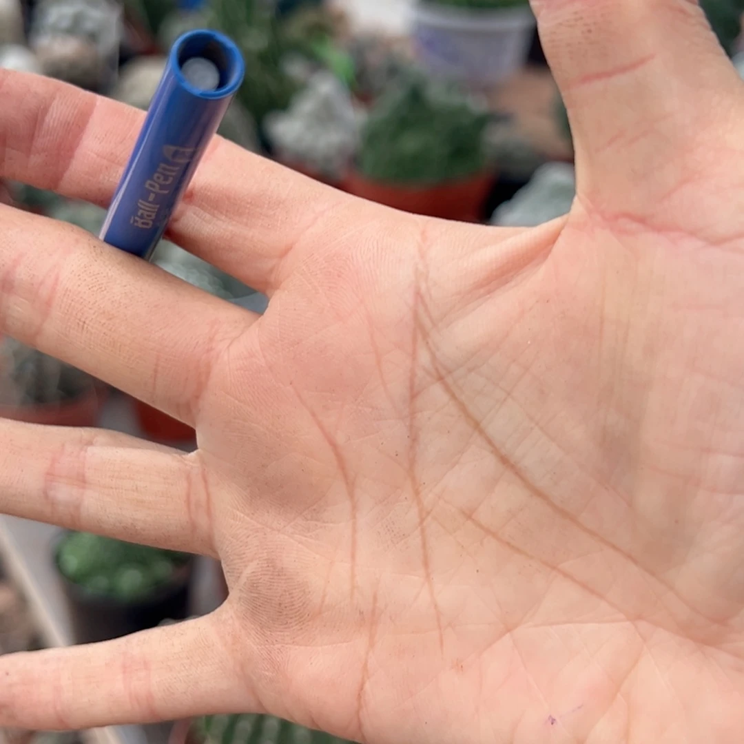 *****剩余60 零零落落。