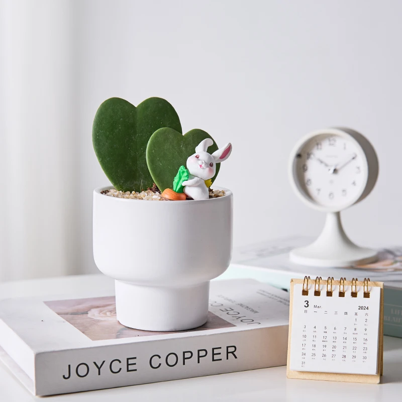 【心心相印】心叶球兰盆栽办公室内桌面绿植寓意好耐旱好养送礼礼物