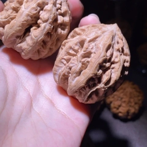 把件文玩核桃东北野生楸子小园 170