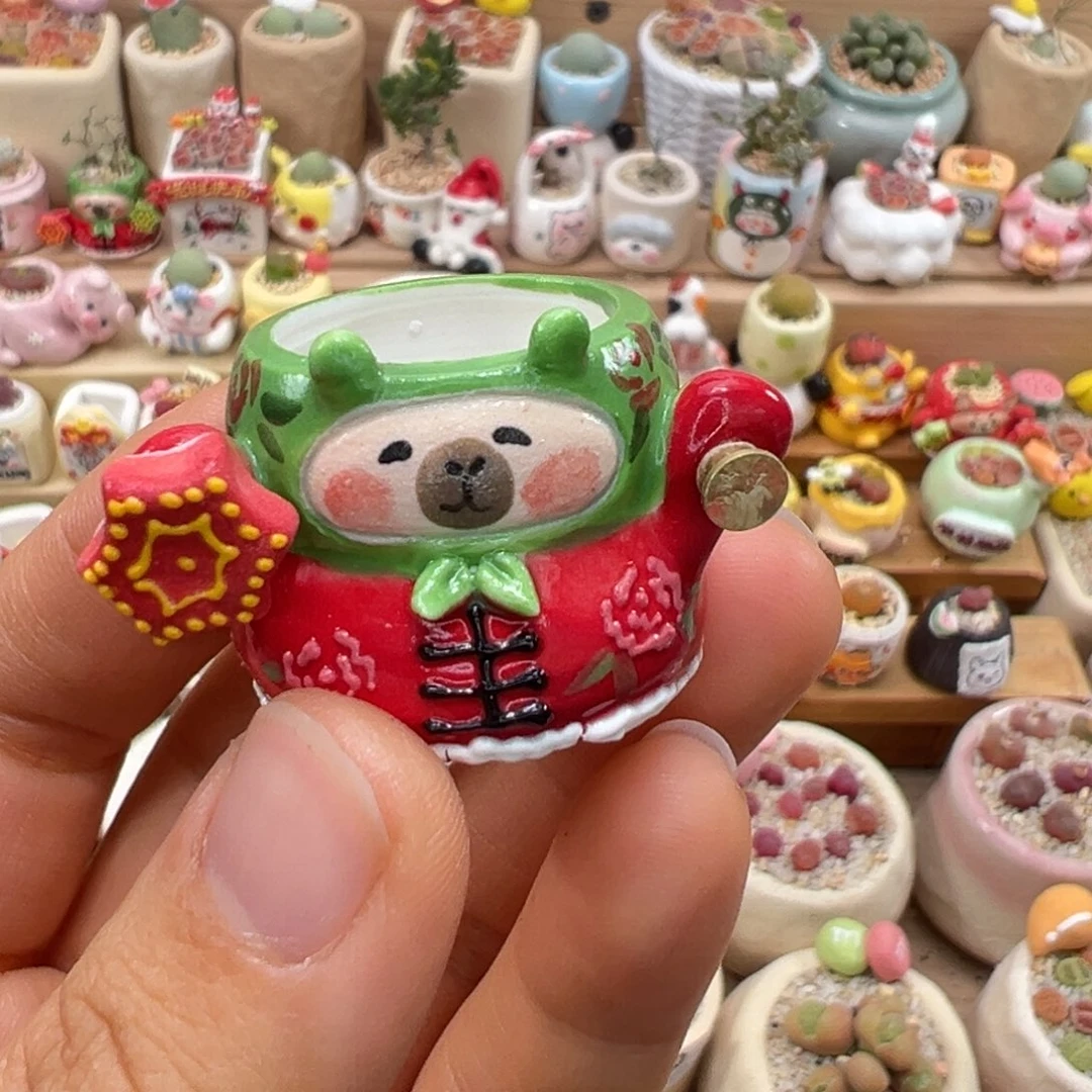 谷***来多肉植物75号单独盆