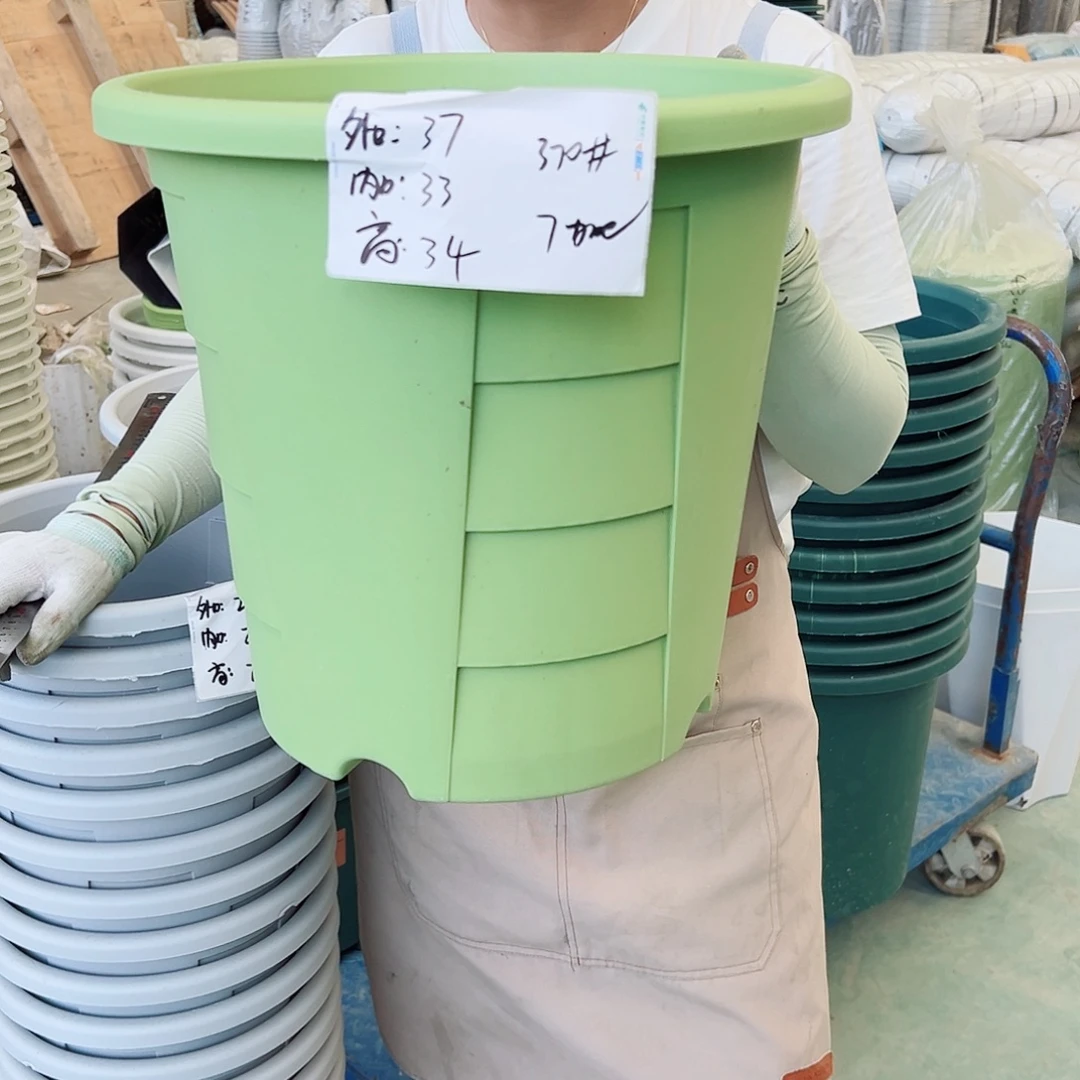 玫瑰370#果绿色4个无托