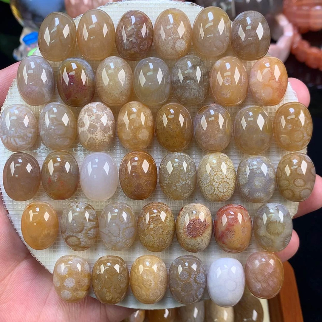 【闪购商品】颈饰未镶嵌硅化珊瑚（珊瑚玉）2号单价30一颗超绝