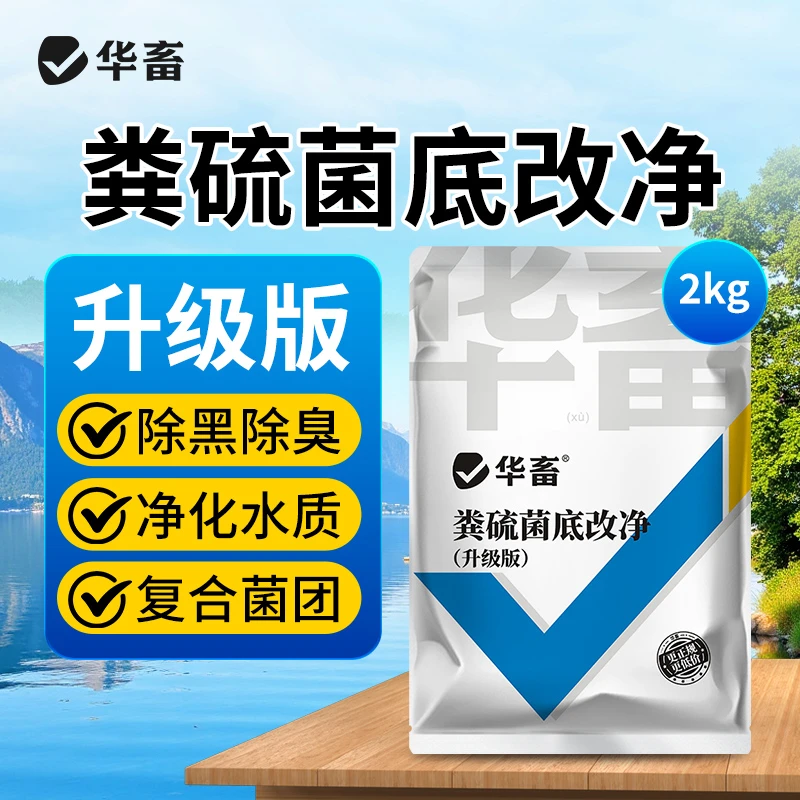 【拍1发2】粪硫菌底改净改善底泥发黑发臭降水体粘度平衡菌藻稳定z