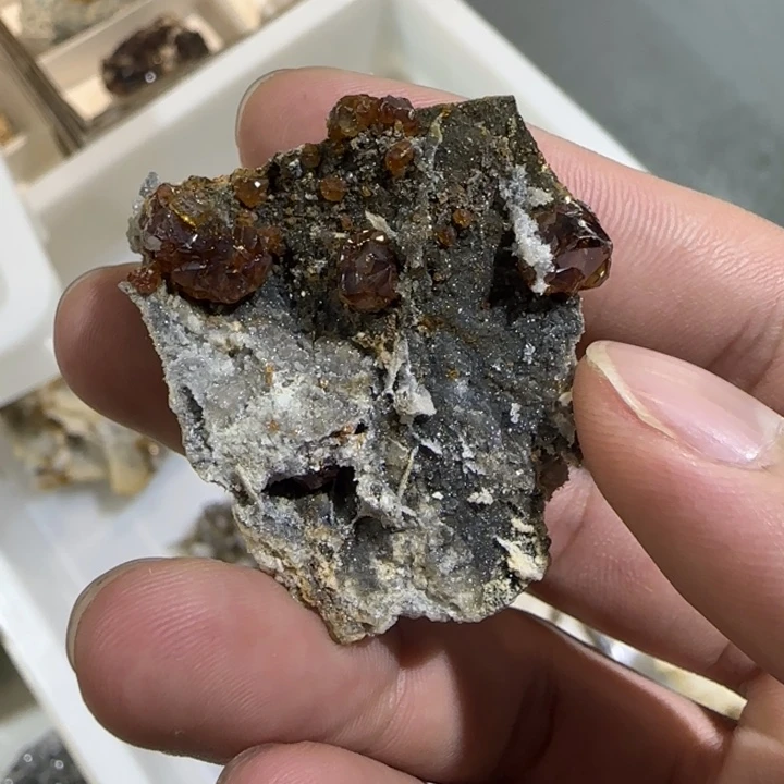 金***桔昌化石印石原石料