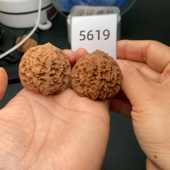 把件文玩核桃39.5满天星5619