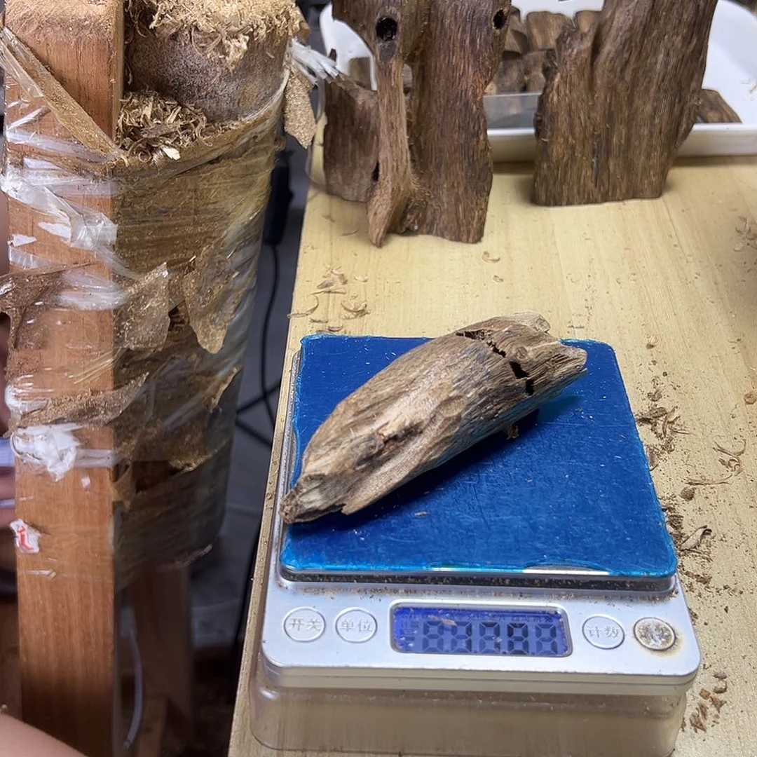 香料绿奇楠虫漏14克陆河