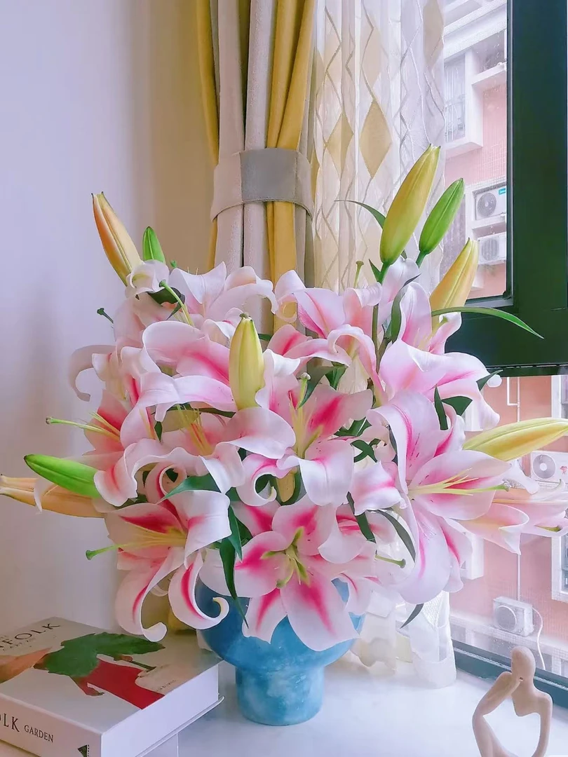 《优选》那个女人粉色百合