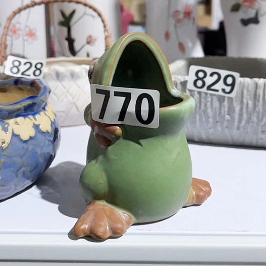 多肉植物花盆花盆