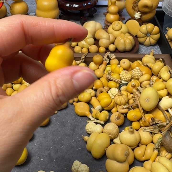 忒****。我的小可爱们都好可爱