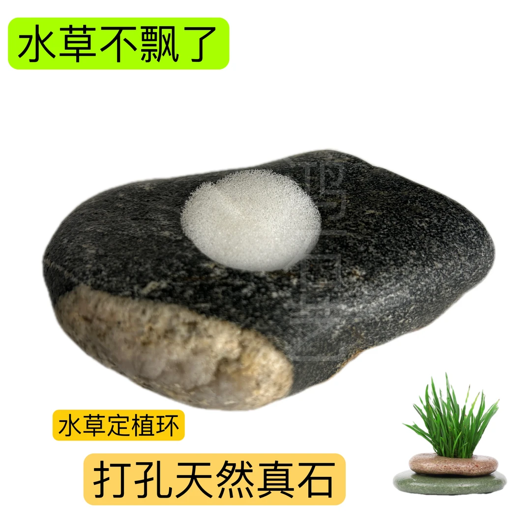 水族造景必备！石头水草定植环 隐形固定莫丝水榕 溪流缸秒变自然