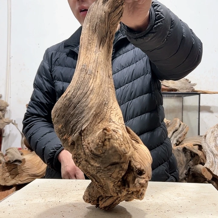 柏木尧*我们都是好孩子呀我