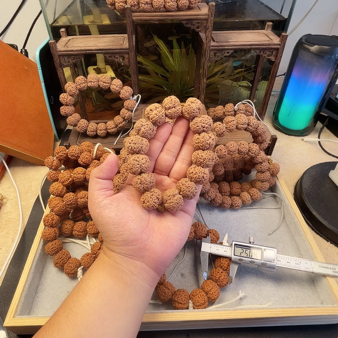 无****手串金刚菩提5。