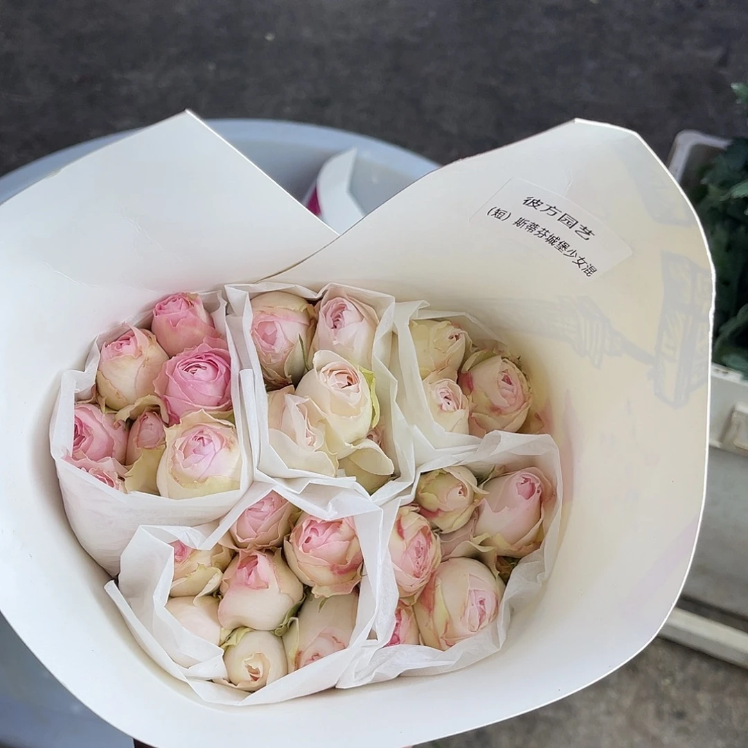 完全开放彼方（斯蒂芬城堡可爱少女混色）一扎