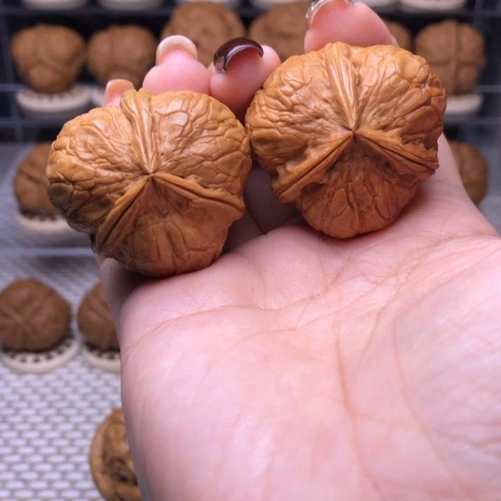 把件文玩核桃65号柿饼子三棱35尺