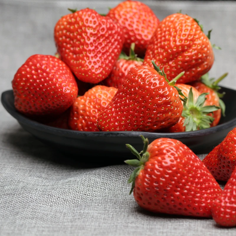 【限量福利】现摘红颜奶油草莓 约1000克/框（小果）新疆本地