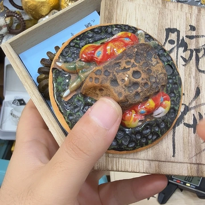 小*儿哈哈哈哈哈哈哈哈茶宠