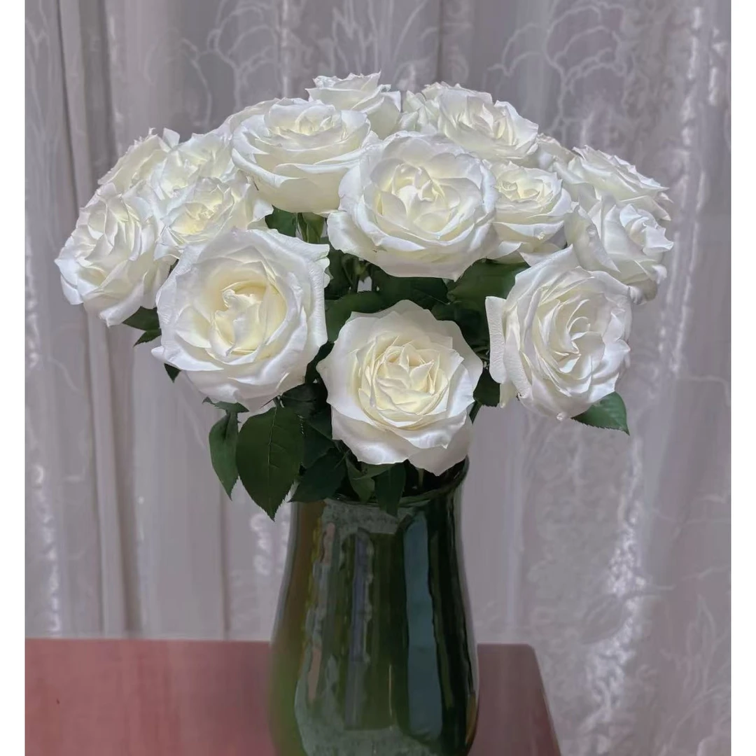 【骄傲玫瑰】云南优选鲜切花昆明基地直发家用插花节日