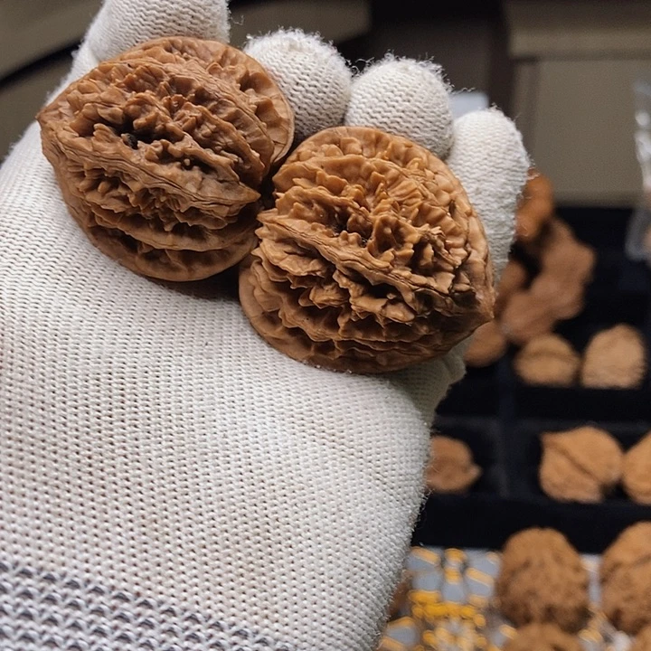 文玩核桃把件格***3秦岭野生壮光冠