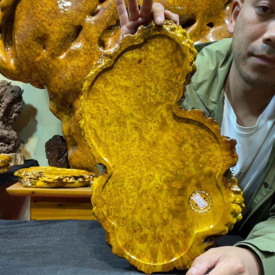 缅甸黄金樟树瘤工
