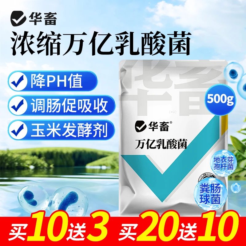 【拍20发30】万亿乳酸菌降ph诱食促长玉米饲料发酵剂鱼塘虾蟹塘专用