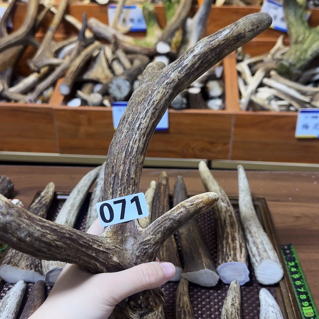 手串/手链鹿骨071怪角