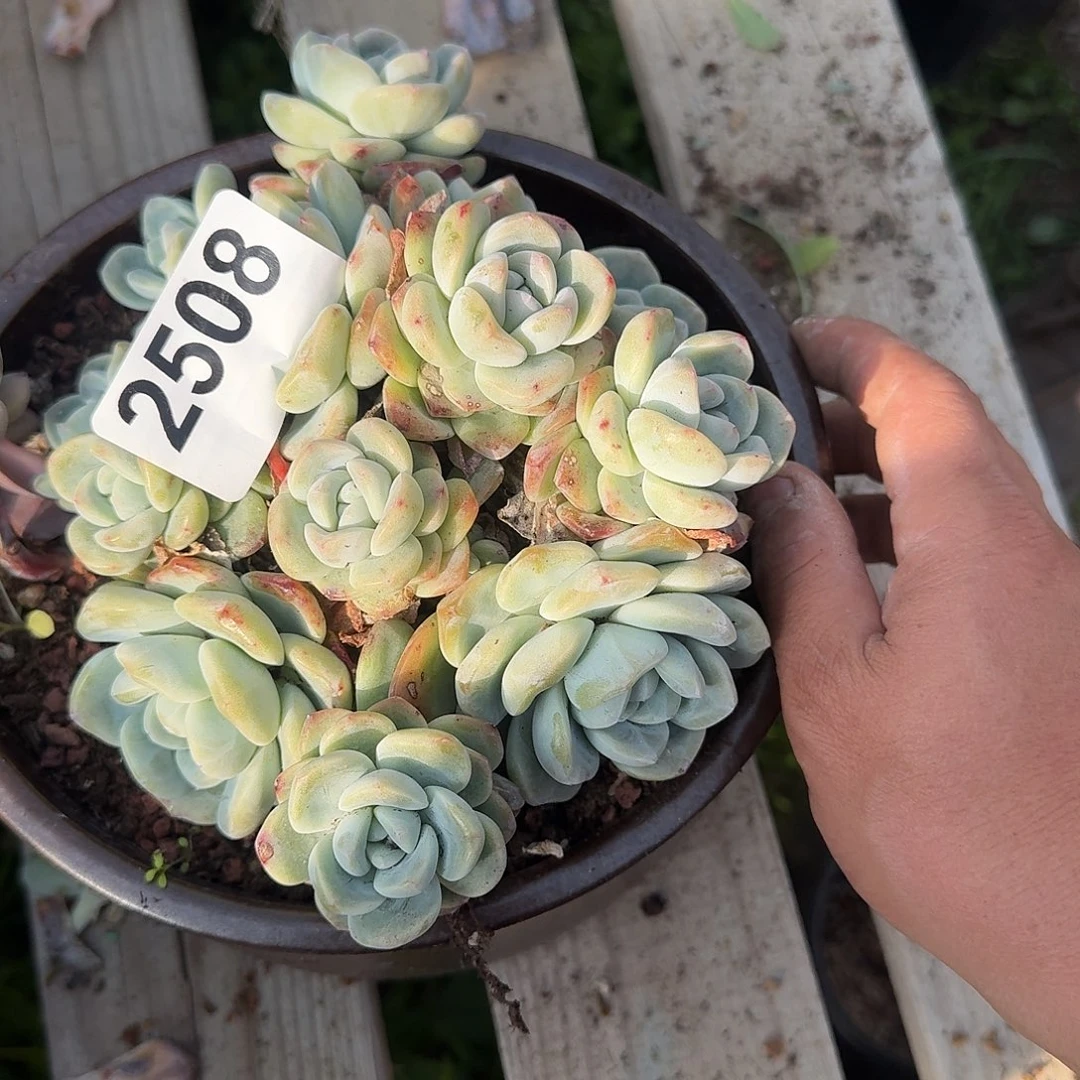 Y****y613343464643433434334343