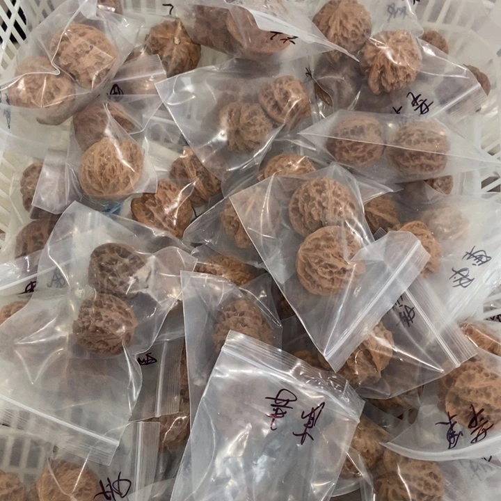 吊坠文玩核桃苹果园瑕疵