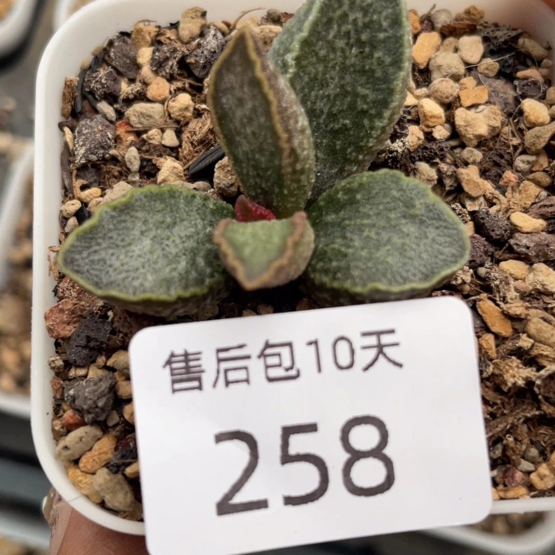 福利。  福利。