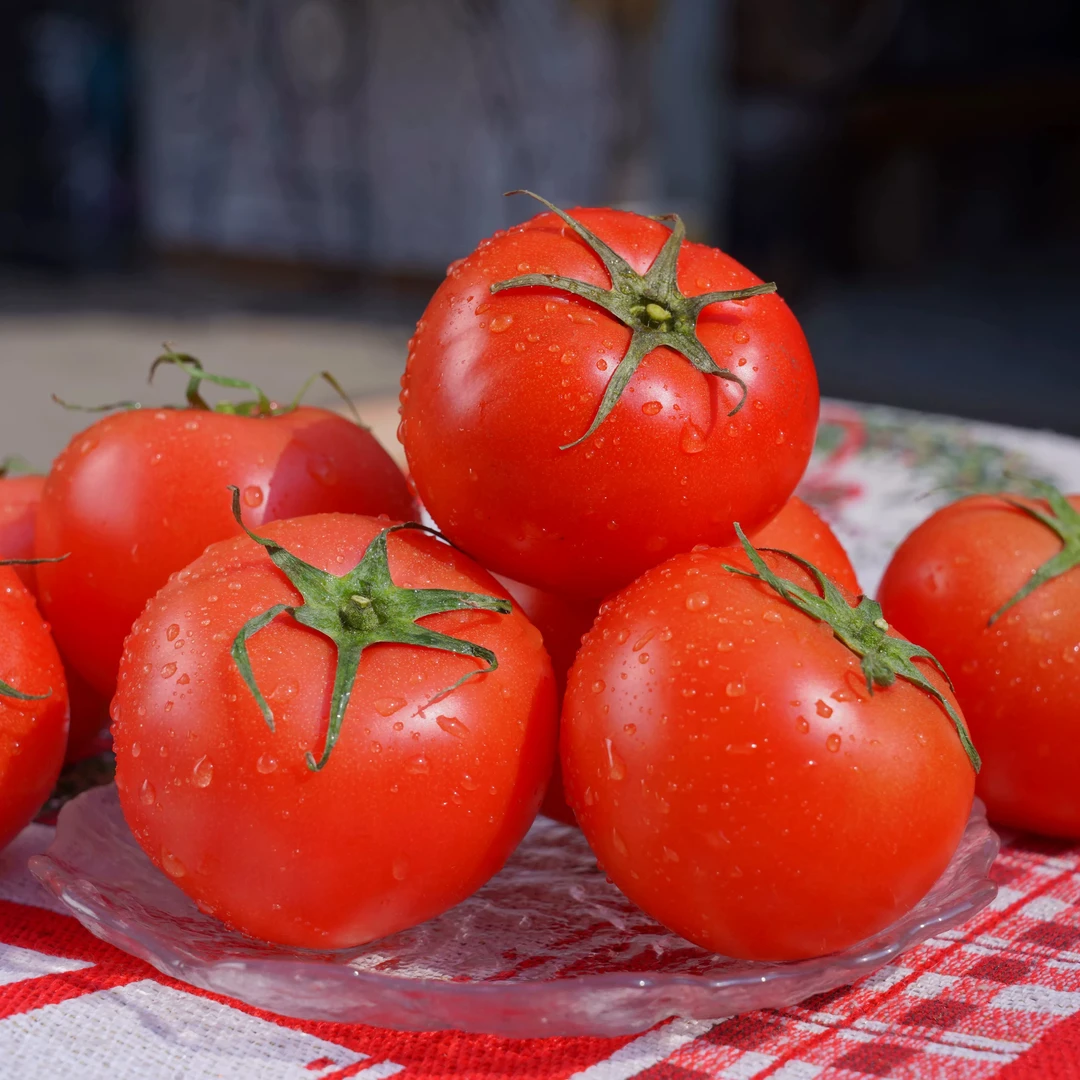 贵州老品种西红柿番茄现摘现发农家自种露天种植