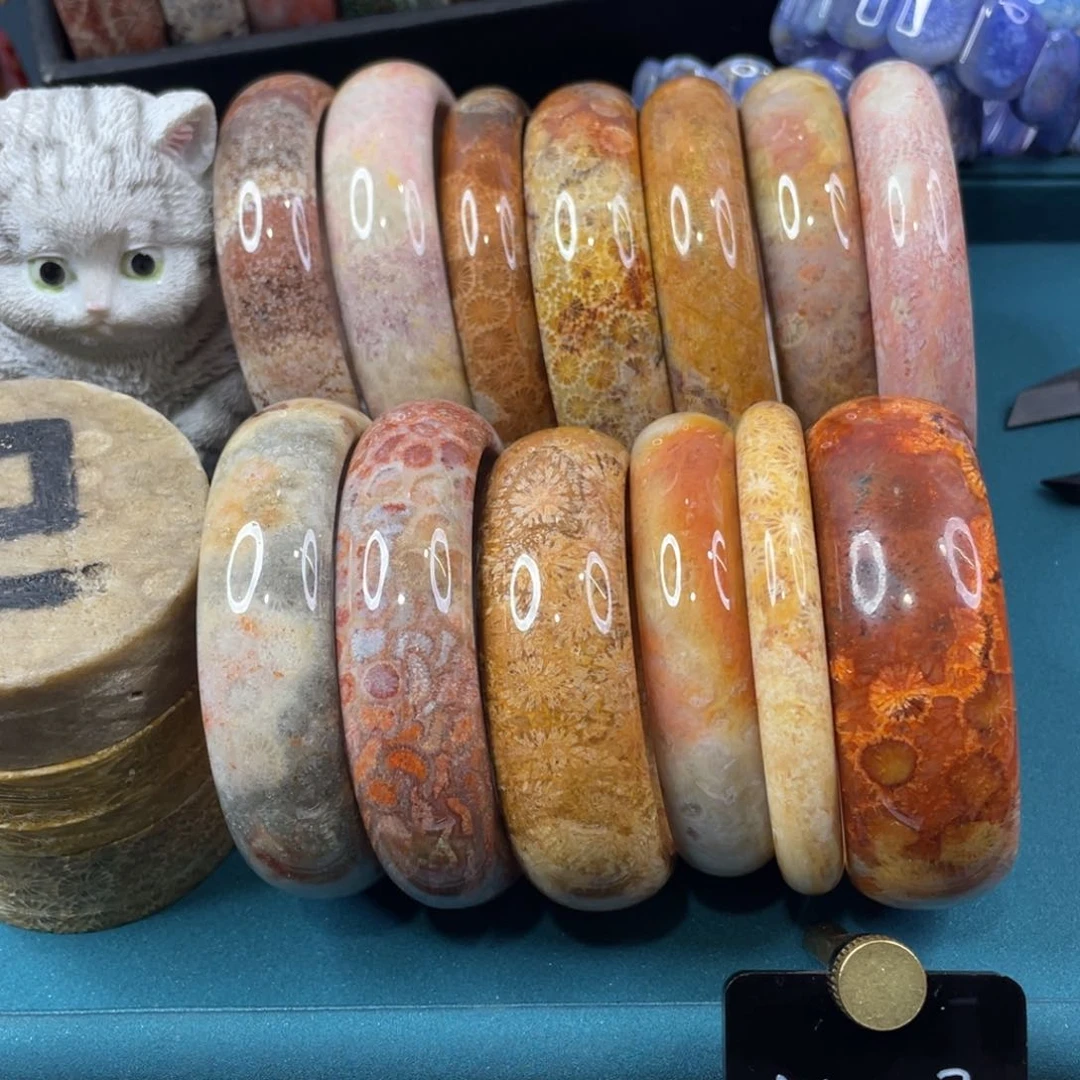 未镶嵌手镯硅化玉