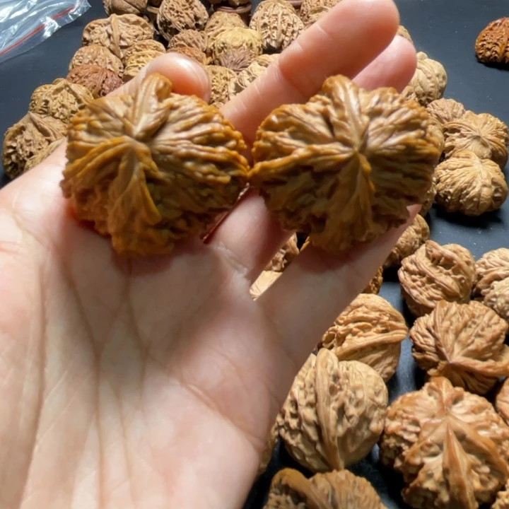 全品白狮子两棱挂角34尺寸核桃哈哈哈哈哈哈哈