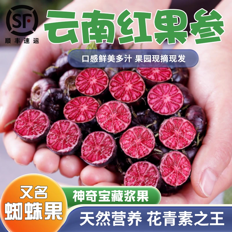 云南红果参新鲜水果应当季蜘蛛果125g/盒整箱顺丰包邮现摘算盘果