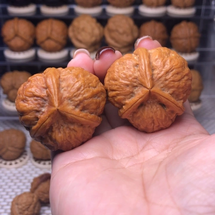 文玩核桃把件64号粗筋三棱37➕尺