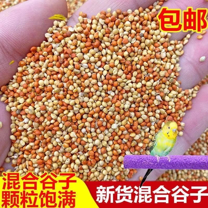 红黄谷子加纳混合粮虎皮牡丹玄凤鹦鹉通用鸟粮鸟食饲料
