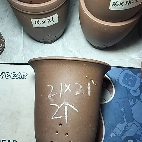 大金钟两个紫砂花盆