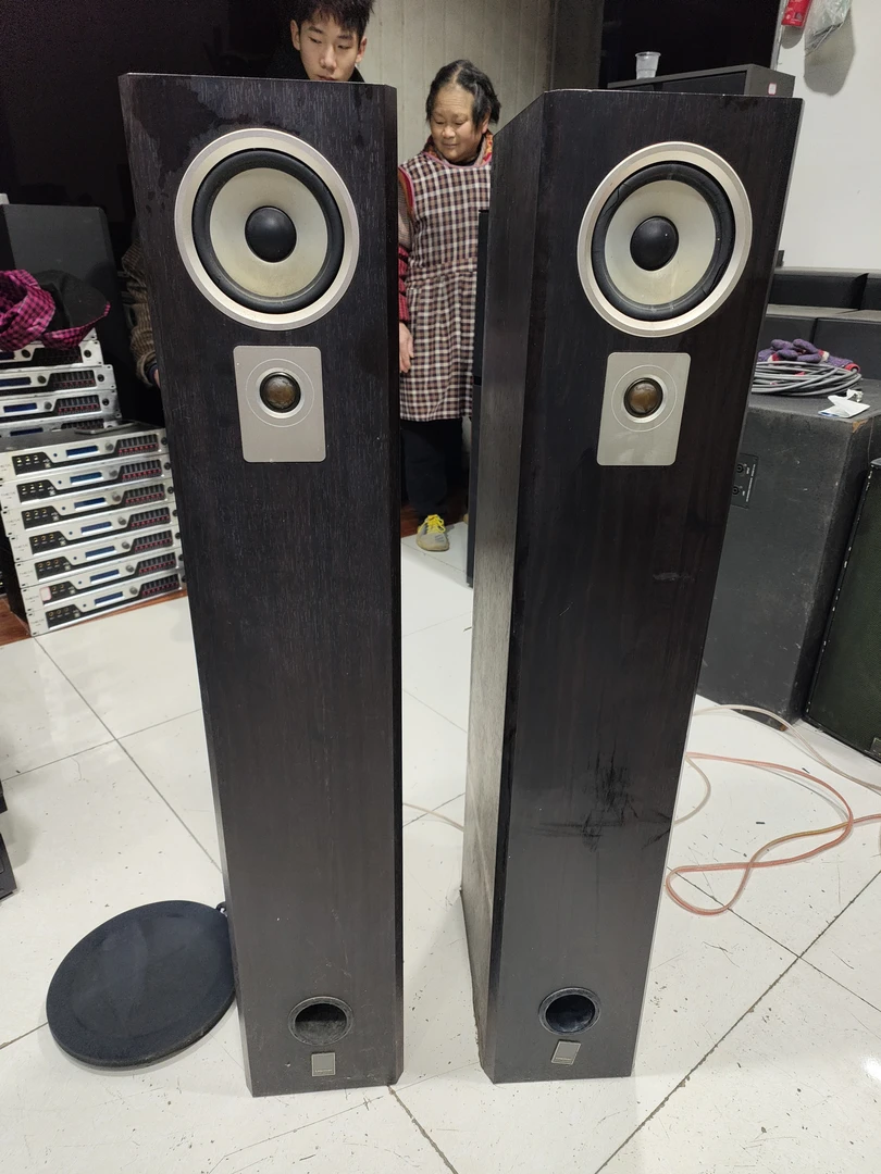 9新 二手丽尊八寸侧低音落地箱(出声,不带线材)