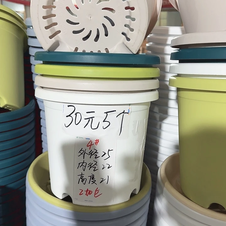 四季4#口径25无托灰白8个