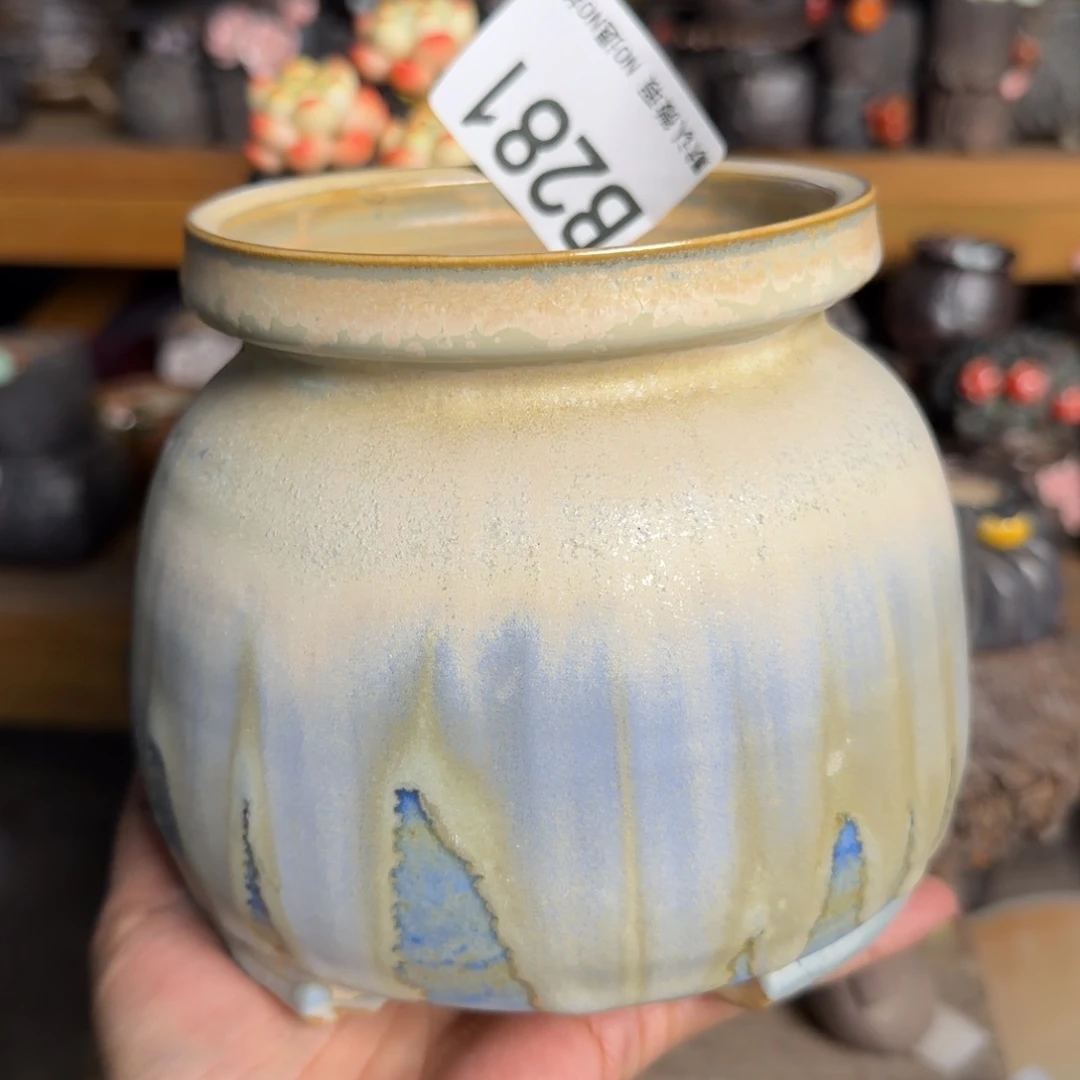 重庆小燕子欢迎大家281