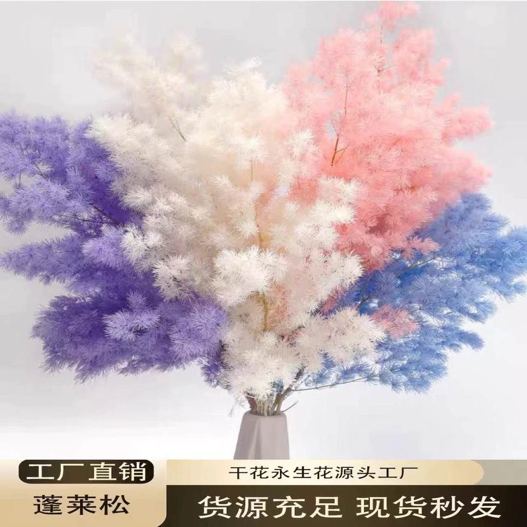 工厂直销（不掉针）永生花蓬莱松花束DIY花材装饰配饰