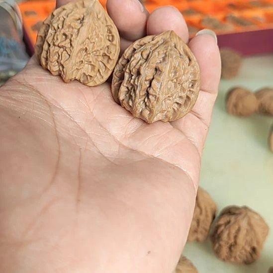 把件文玩核桃33左右瑕疵练手小白狮子
