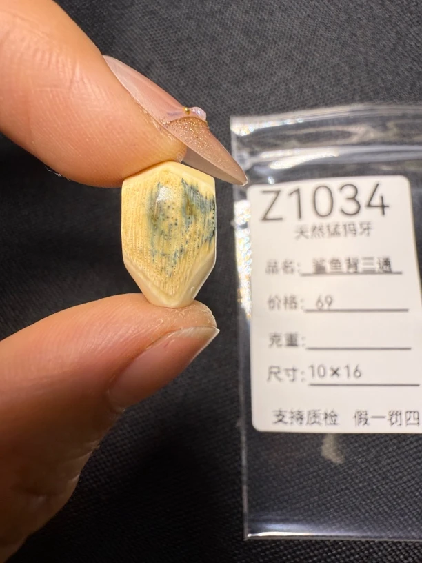 Z1034天然猛犸牙蓝皮鲨鱼背三通配饰