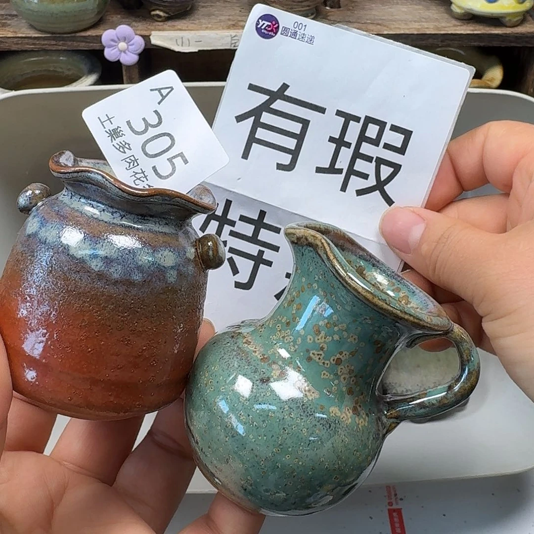 罐养****猪陶瓷艺术品设计与制作