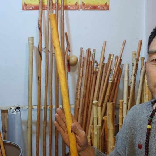 纵***心秦岭石山红荀子，牛筋木