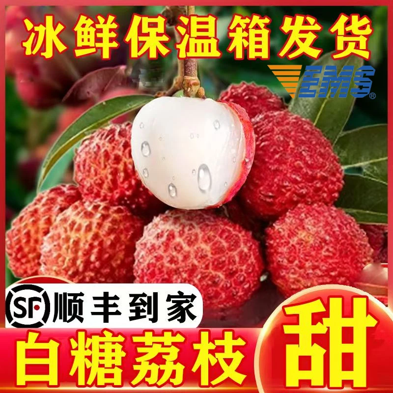 AA现采现摘白糖罂荔枝肉厚香甜多汁EMS顺丰随机