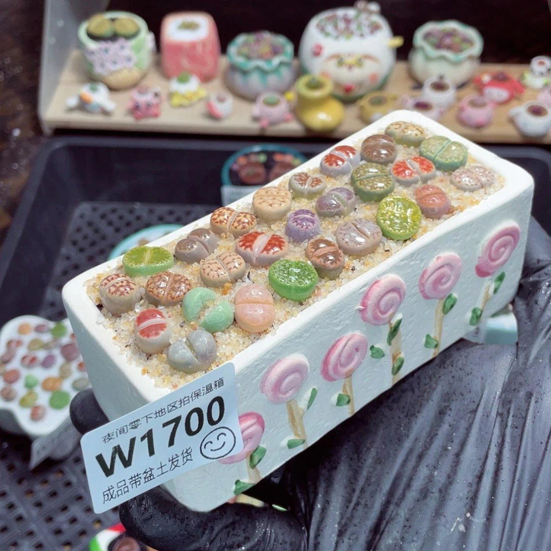 夜间零下地区拍保温箱w1700