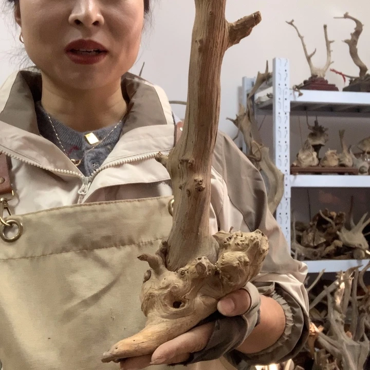 瑞***雕木太行崖柏毛料板根